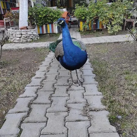 Sakli Bahce